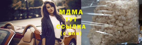 индика Магас