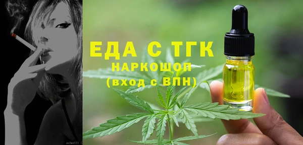 индика Магас