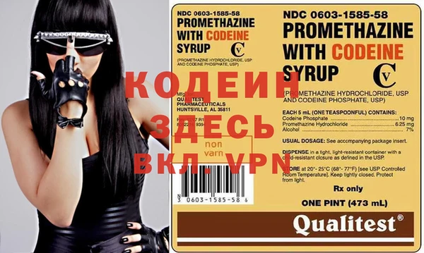 индика Магас