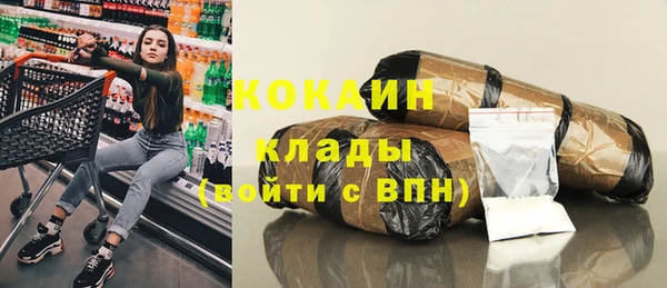 индика Магас