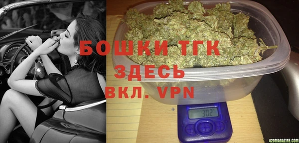 индика Магас