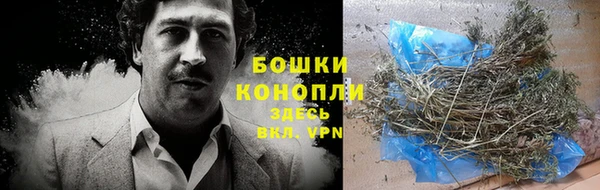 индика Магас