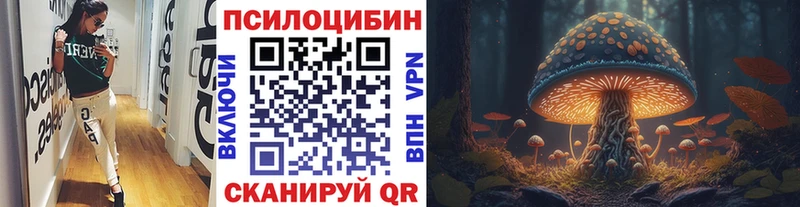 где купить наркоту  Нижняя Салда  Галлюциногенные грибы GOLDEN TEACHER 